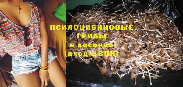 эйфоретик Новодвинск