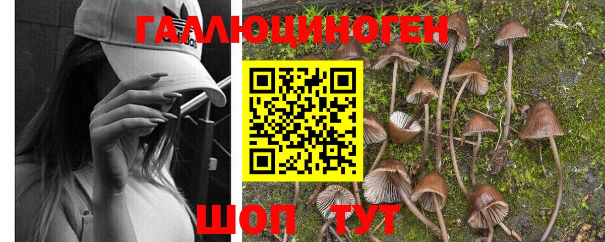Красноармейск  Галлюциногенные грибы Magic Shrooms  Вход с VPN 